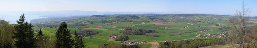 Le Jorat depuis la tour de Gourze