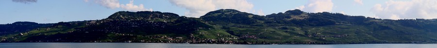 Le vignoble de Lavaux